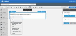 image of Step 8 - pasting your survey snippet in aweber - of how to integrate yesinsights into aweber