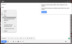 image of Step 8 - pasting your survey snippet in gmail - of how to integrate yesinsights into gmail