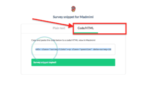 image of Step 7 - copying your mad mimi snippet - of how to integrate yesinsights into mad mimi