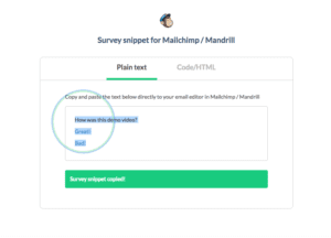 image of Step 7 - copying your mailchimp snippet - of how to integrate yesinsights into mailchimp