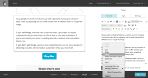image of Step 8 - pasting your survey snippet in mailchimp - of how to integrate yesinsights into mailchimp