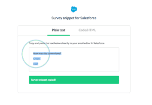 image of Step 7 - copying your salesforce snippet - of how to integrate yesinsights into salesforce