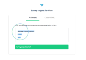 image of Step 7 - copying your vero snippet - of how to integrate yesinsights into vero