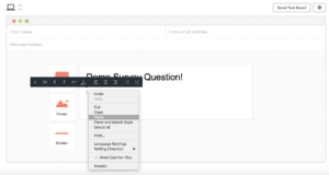 image of Step 8 - pasting your survey snippet in kissmetrics - of how to integrate yesinsights into kissmetrics